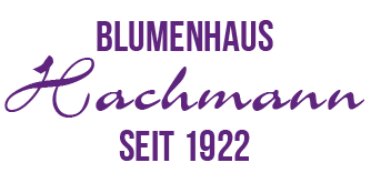BlumenhausHachmann